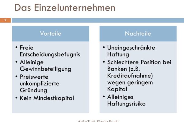 das-einzelunternehmen3-l