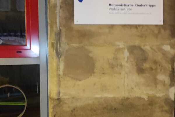 IMG_20230320_194855 IMG_20230320_194855