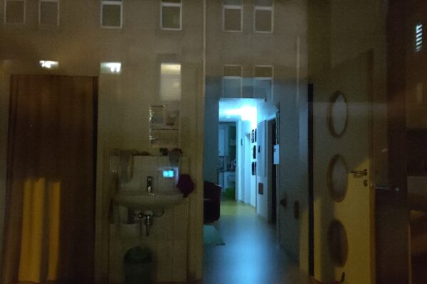 IMG_20230320_195057 IMG_20230320_195057