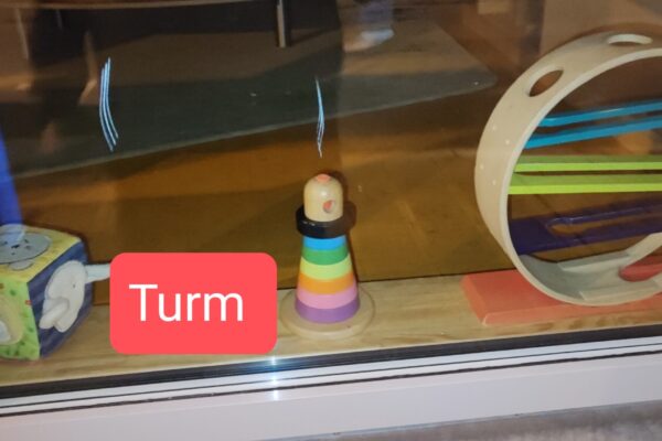 IMG_20230320_204530 IMG_20230320_204530